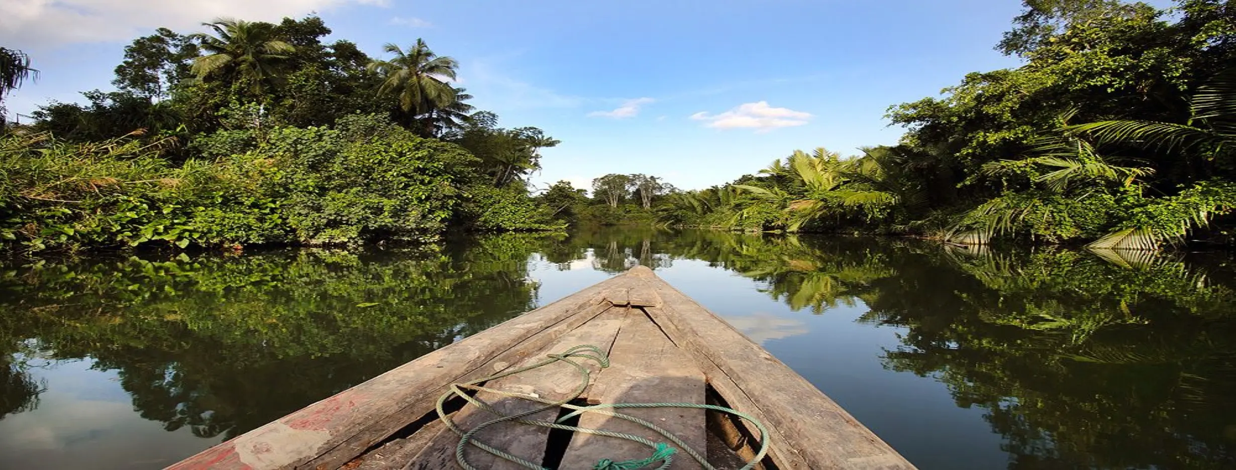 Image for River Exploration